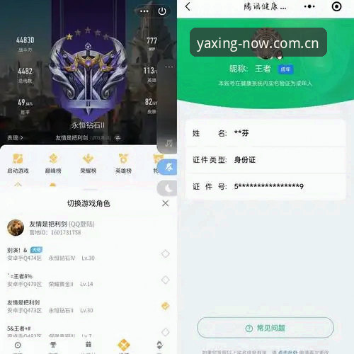 亚星娱乐数据查询 亚星娱乐数据查询完整指南:一个老玩家的真实体验与操作手册